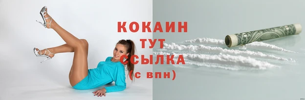 винт Бородино