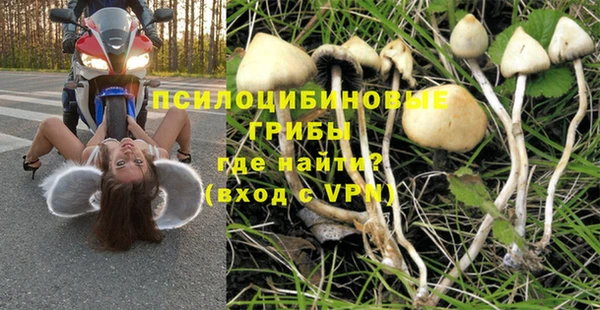 бутират Бугульма